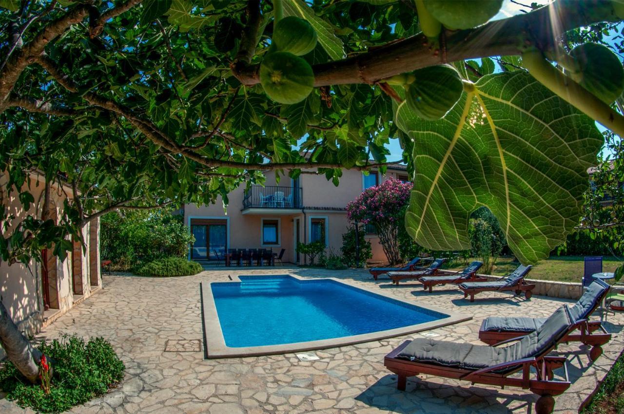 House /villa Maja Villa *