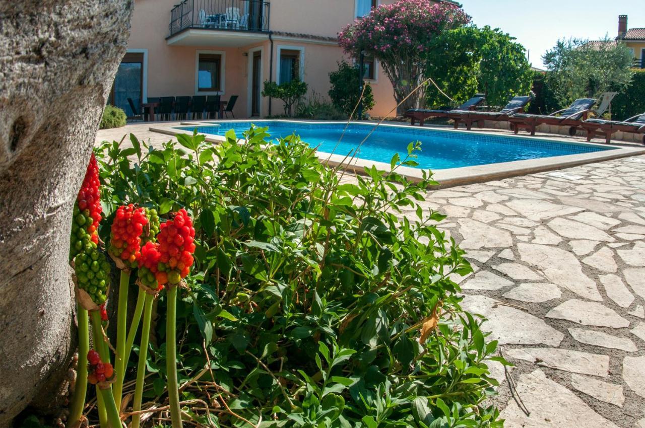 Villa House /villa Maja *